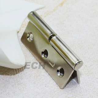 Ec Hardware Bisagra de puerta giratoria de acero (ECH-4099L)