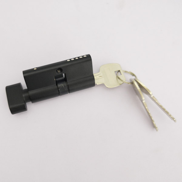 cerradura de la puerta del lector de tarjetas