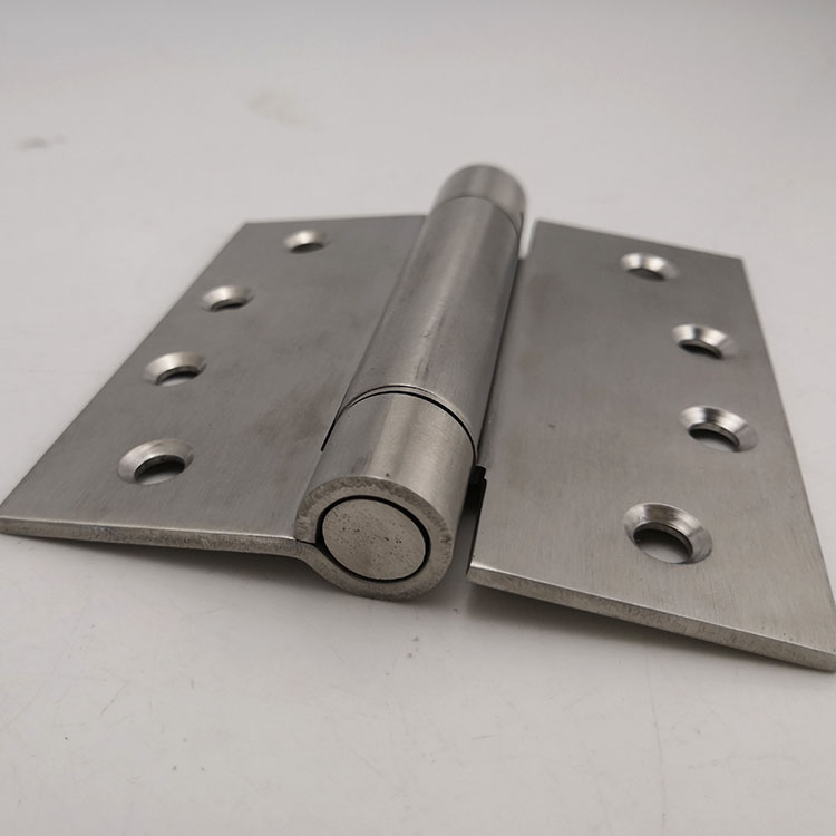 bisagra de la puerta de resorte (4)