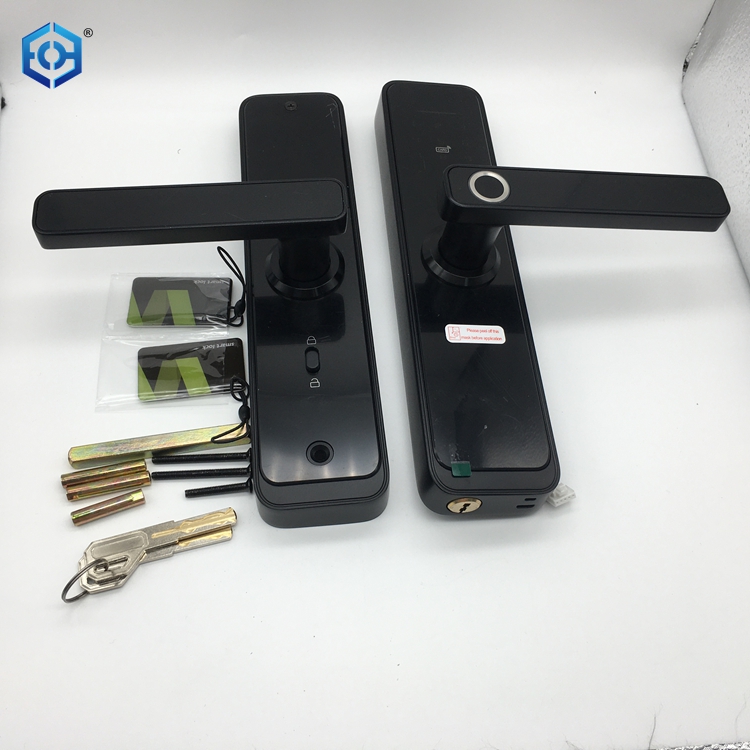 mangojo electr&oacute;nico