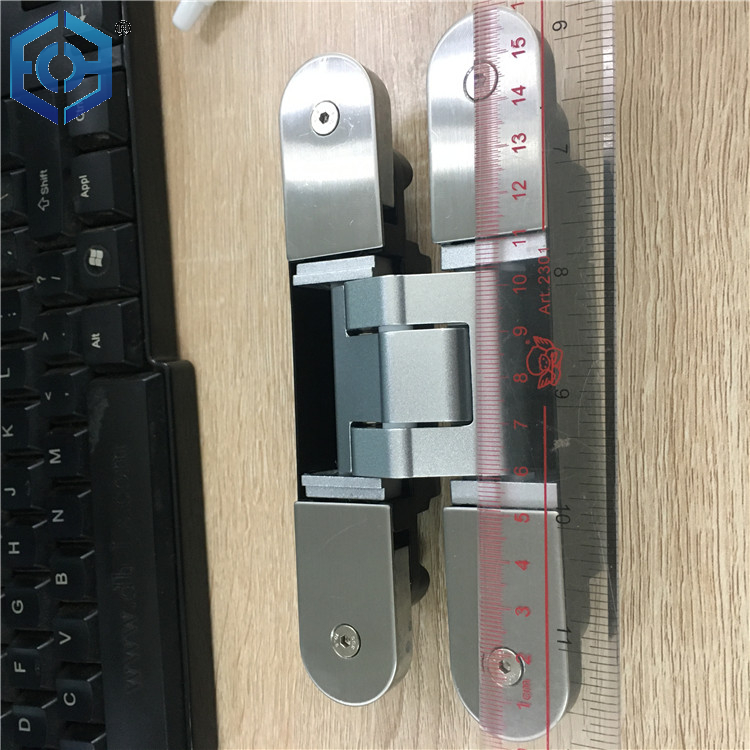 puerta con bisagra oculta