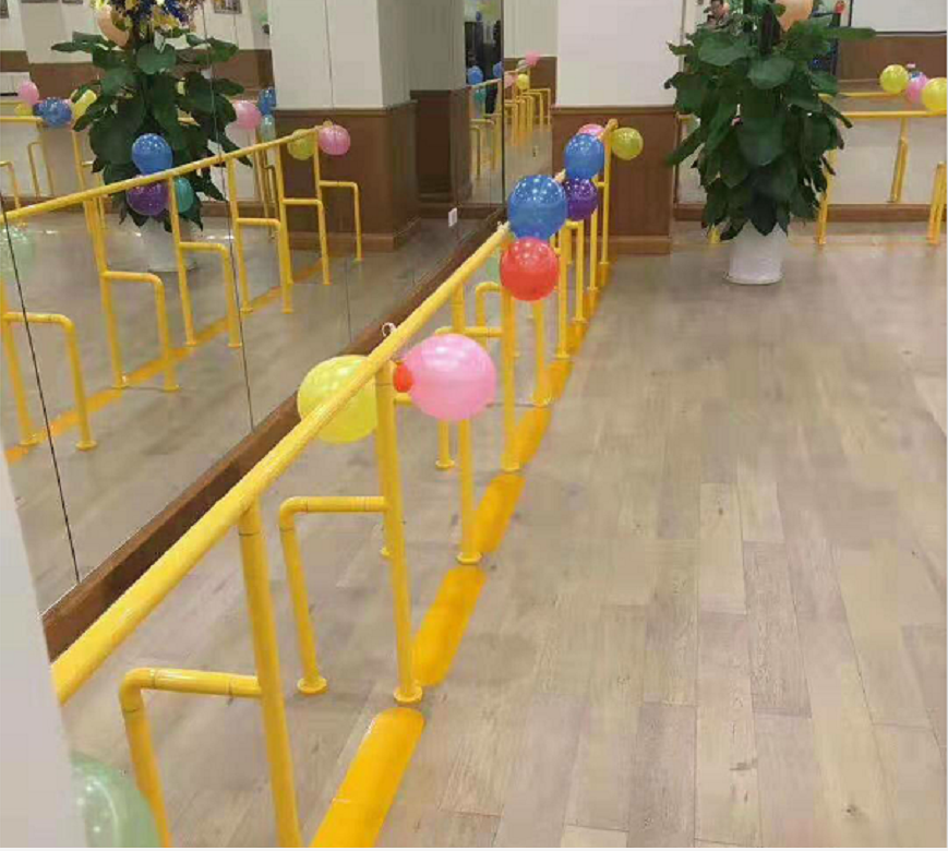 Barras de agarre de succi&oacute;n de servicio pesado