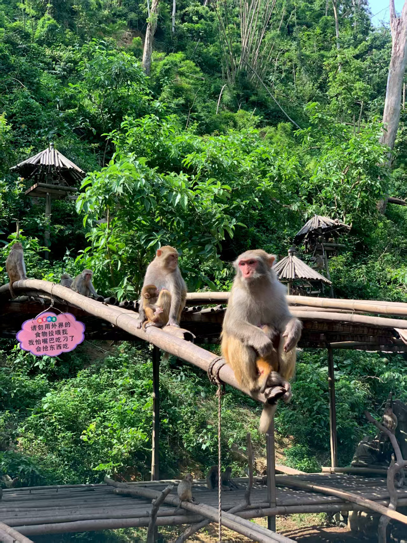 Sipsongpanna de EC Hardware