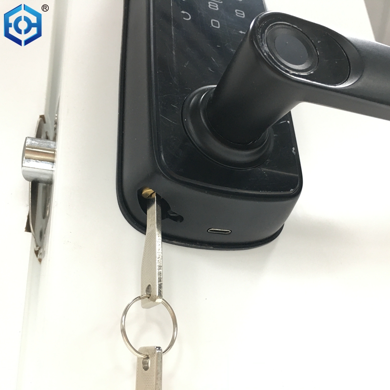 mech&oacute;n de la puerta del dormitorio de huella digital