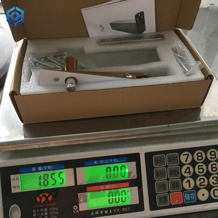 DORMA BTS 84 PISLO Spring