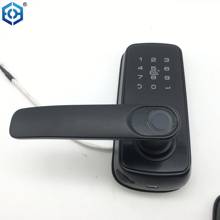 Mech&oacute;n de la puerta del cerrojo de la huella digital