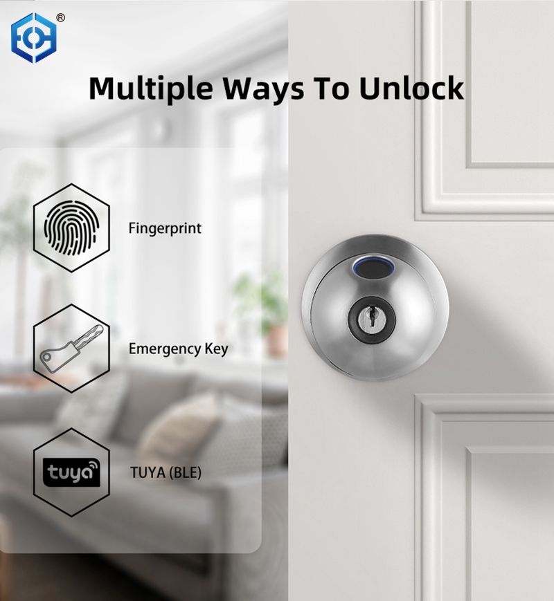 perilla de la puerta biom&eacute;trica