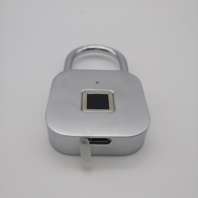 Smart Fingerprint Lock Biométrico Candado portátil a prueba de agua con  control de huellas dactilares Seguridad al aire libre Seguro Touch Keyless  Lock con tiempo de espera prolongado y carga USB para