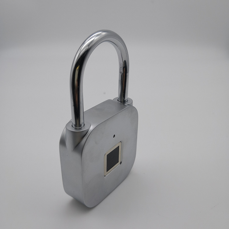 Interior / Habitaci&oacute;n Puerta Cerraduras de puerta & Mecanismos de bloqueo en venta | eBay